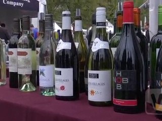 Wine Channel TV  and W.J. Deutsch and Sons at Chicago ...