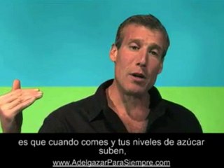 Adelgazar: Insulina, azúcar y diabetes (parte 1-a)