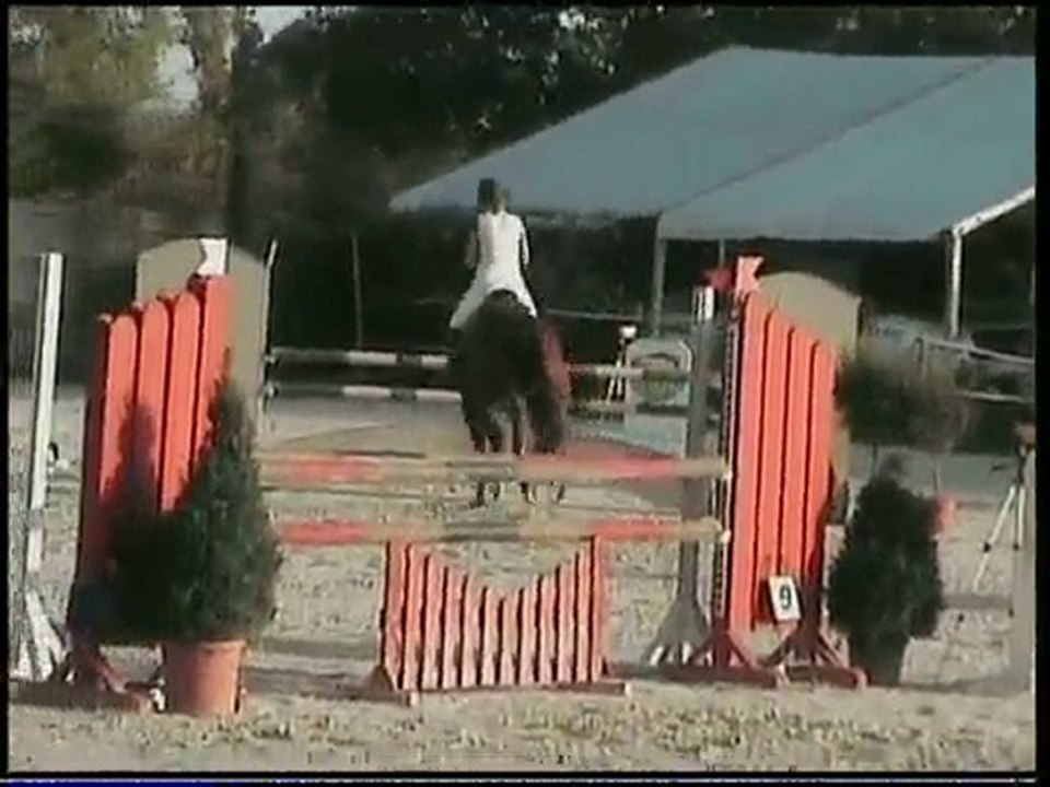 spé 110 arnas octobre 2010