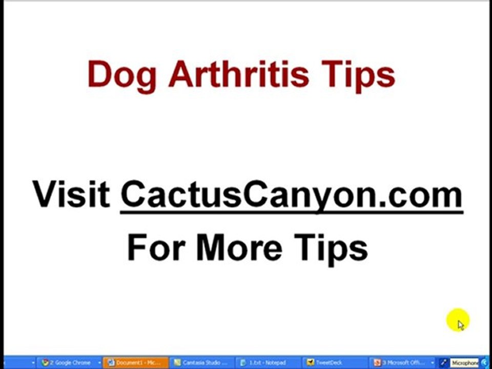 Dog Arthritis Tips For Lowering Joint Pain in Canines
