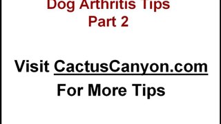 Dog Arthitis Symptoms: What To Look For