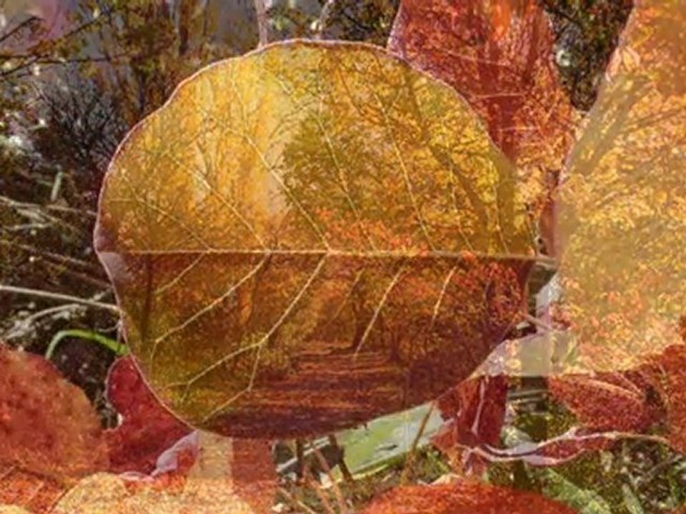 ballade d'automne-