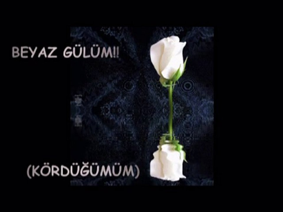 YIKIPTA GİTME!!! (KÖRDÜĞÜMÜM)