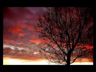 Tarkan - İşim Olmaz