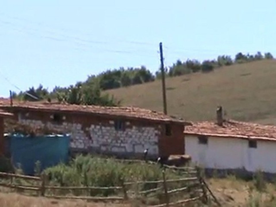 İnek Alan Yaylası_1