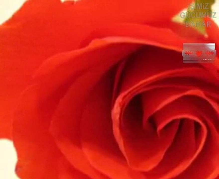 ihanetmi vururum Lann..!!