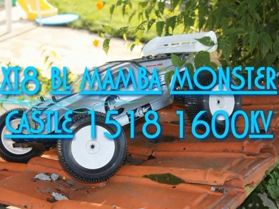 Ma famille de modèles rc brushless