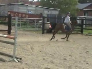 Sport Ponies Stable - JUMENT 11 ANS SANS PAPIER