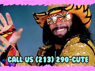 Caterpillar Puppy VS Pole Climbing Kitty! - Number One ...