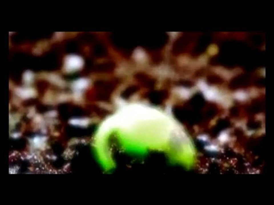 B-lash - wargames (blutige töne) video 2010