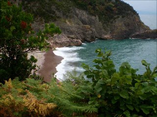 GİRESUN İLİMİZDEN GÖRÜNTÜLER 28