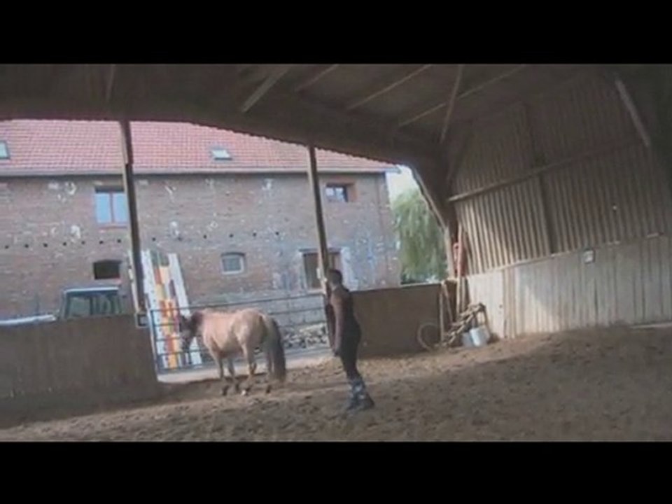 SUN Ethologie - Souvenirs été 2010