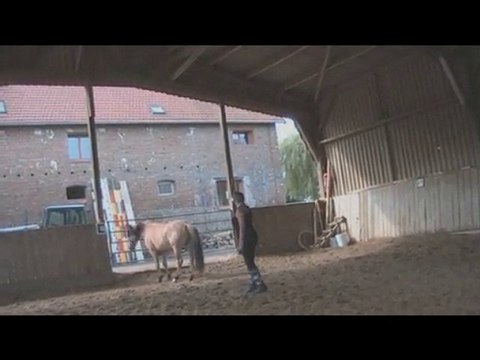 SUN Ethologie - Souvenirs été 2010