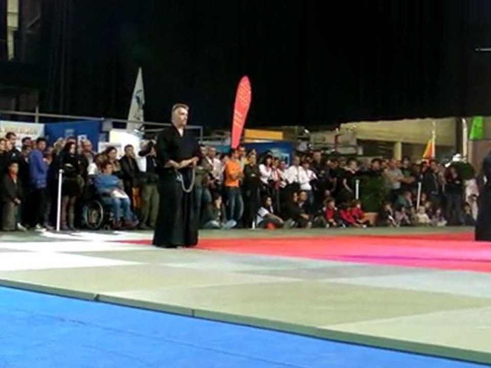 IAIDO A MONTPELLIER 2010