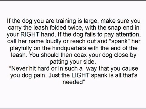 Dog Training Tips-Train Your Dog To Heel Off Leash
