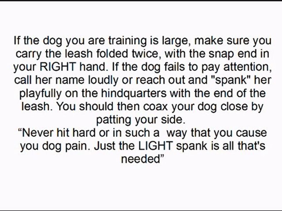 Dog Training Tips-Train Your Dog To Heel Off Leash