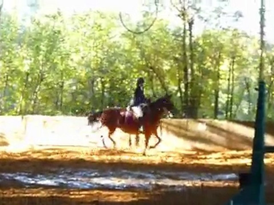 Nidel et Dubarry - concours du 10/10/10 Montfrais