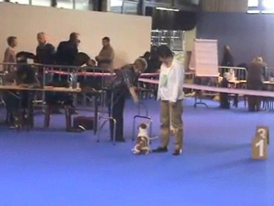 1ère expo d'Azote 16 octobre 2010