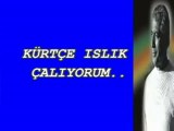 kürtçe ıslık çalıyorum ne olmuş-