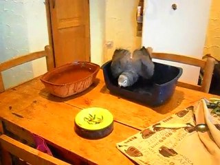 entre les deux mon coeur balance