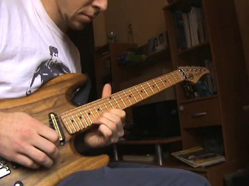 Guns'n roses,solo November rain