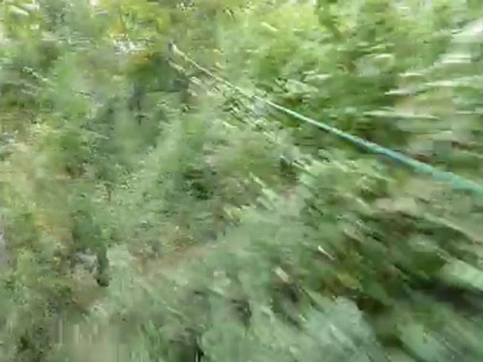 P1050535