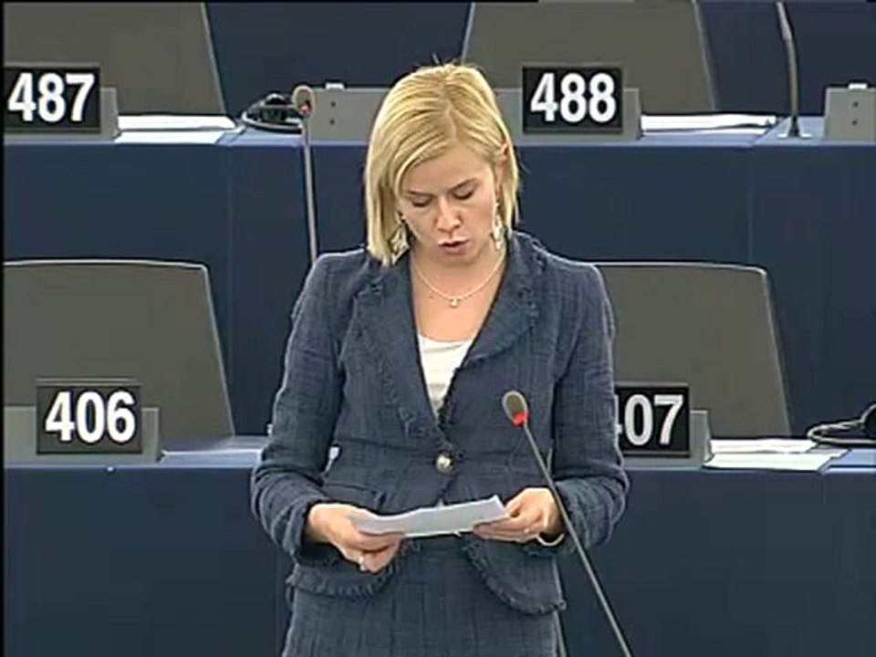Riikka Manner on 2011 draft budget