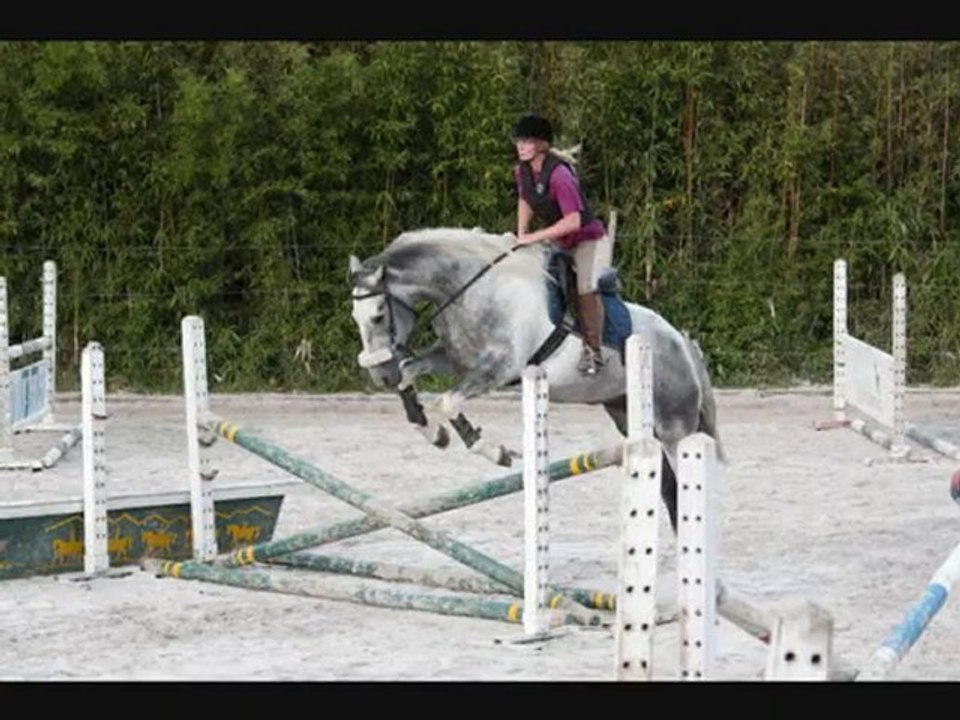 1ers cours de saut av Safran