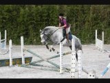 1ers cours de saut av Safran
