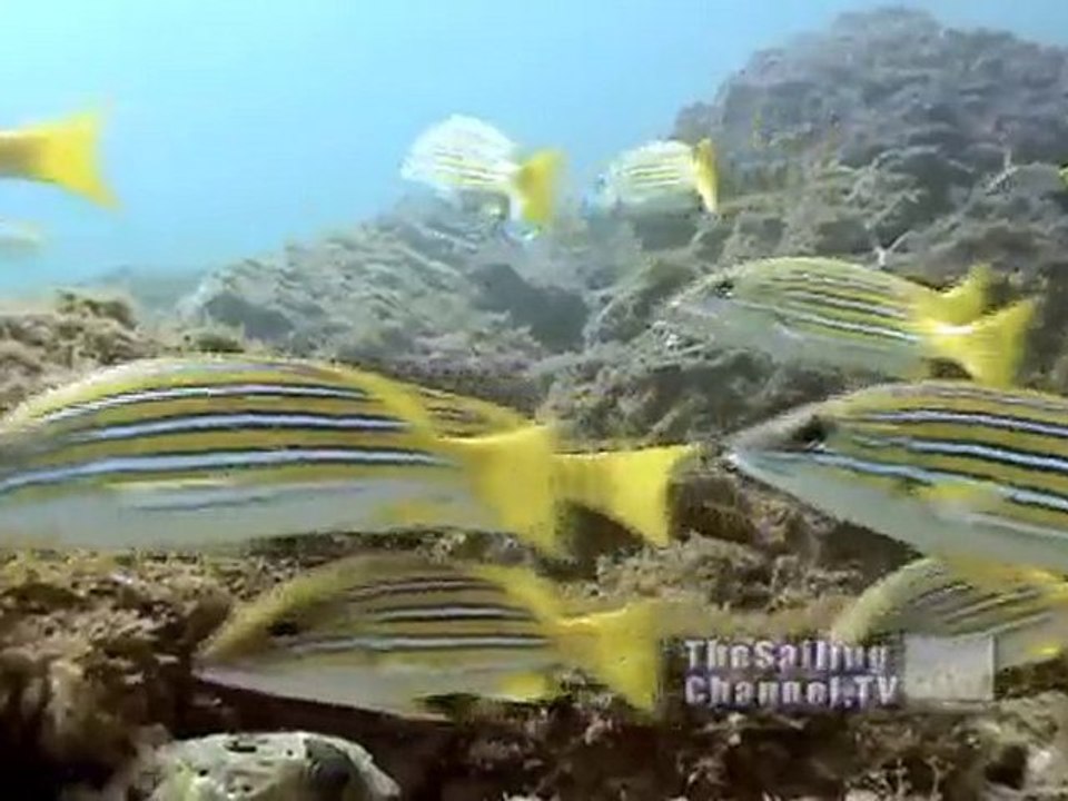Hookah Diving in Costa Rica
