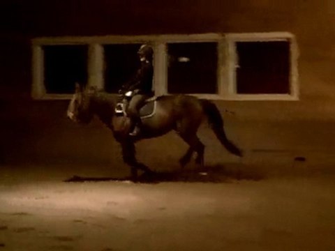 Jackson 19 oct 2010 trot galop sans etrier -3