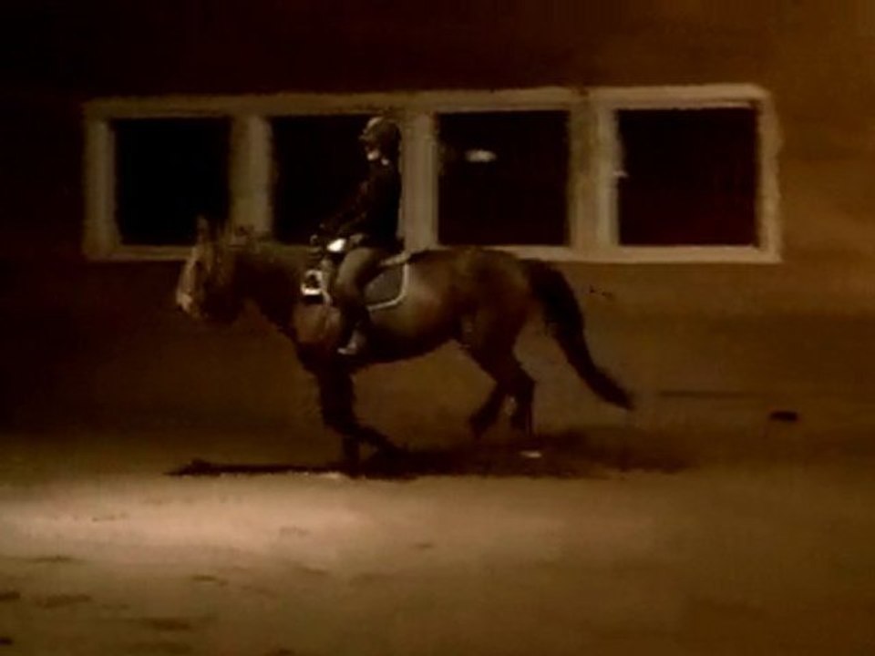 Jackson 19 oct 2010 trot galop sans etrier  -3