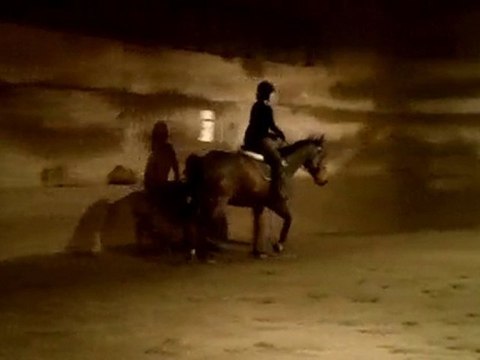 Jackson 19 oct 2010 trot galop sans etrier -4