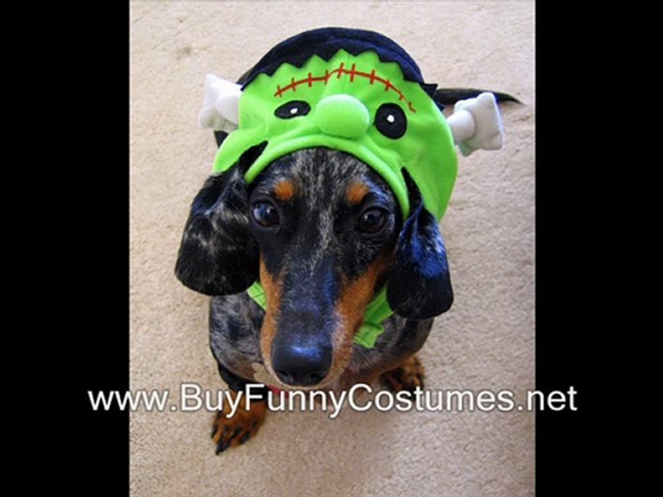 halloween constume beatles wig