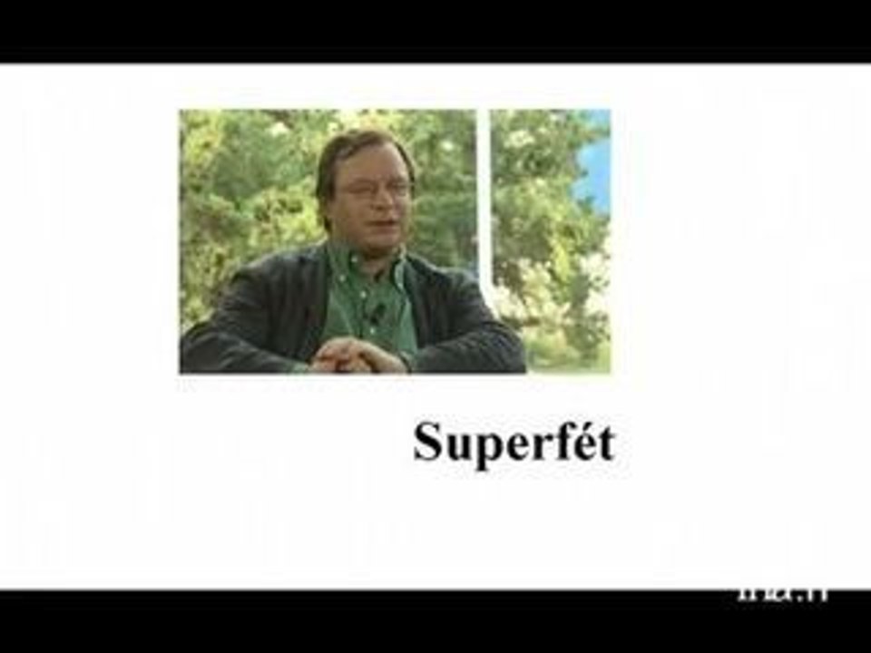 François Rollin : Les grands mots du professeur Rollin