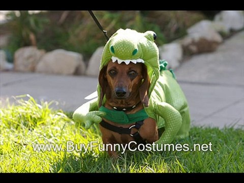 halloween constume childrens fancy dress wigs