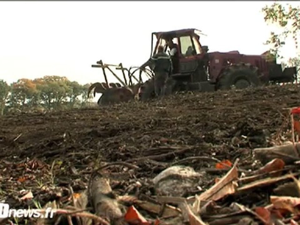 L'homme de la forêt