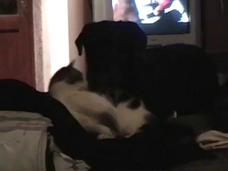 Blackys et Wheeling