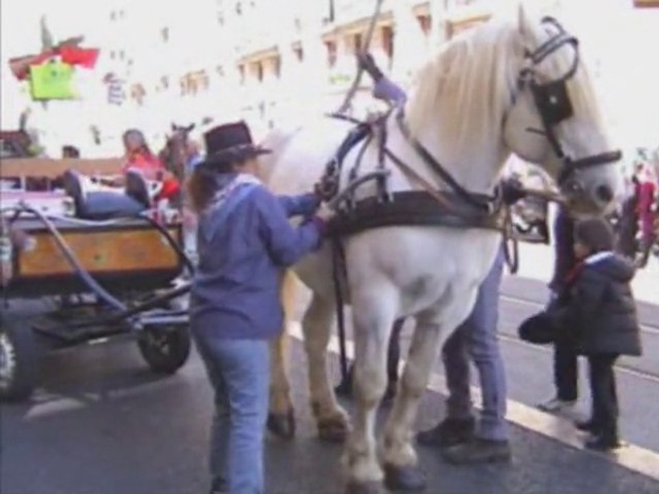La ferme en fête (Edition 2010)