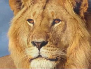 Finishing the Mysteries of Gods and Symbols