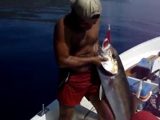 AKYA AVI SEVİNCİ - www.adrasanbalik.com