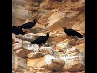 Mehmet  ARIKAN,Fırat KenTLi,Birecik.Birecik Slayt Gösteri,