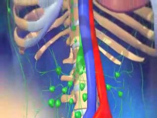 Cancers généralités   mécanismes