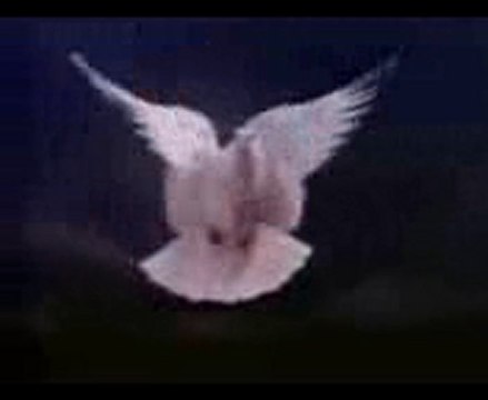 Ayhan_Seninle başladım seninle bitsin