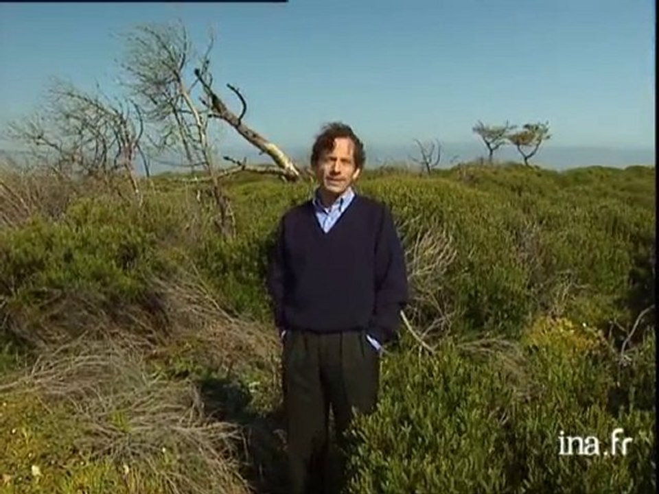Nicolas Bouvier : le dehors et le dedans