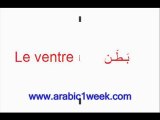 Le corps humain(arabe)