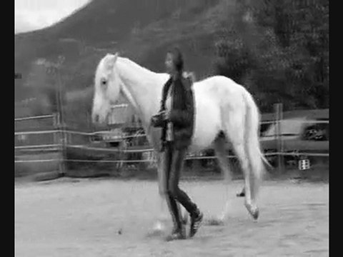 Kazo liberté & longues rênes