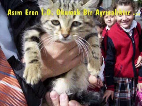 Asım Eren İlköğretim Okulu web: asimeren.k12.tr