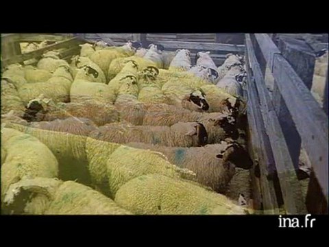 Patrick Mahe et Philip Plisson : Ecosse, carnet de bord d'un pêcheur d'images