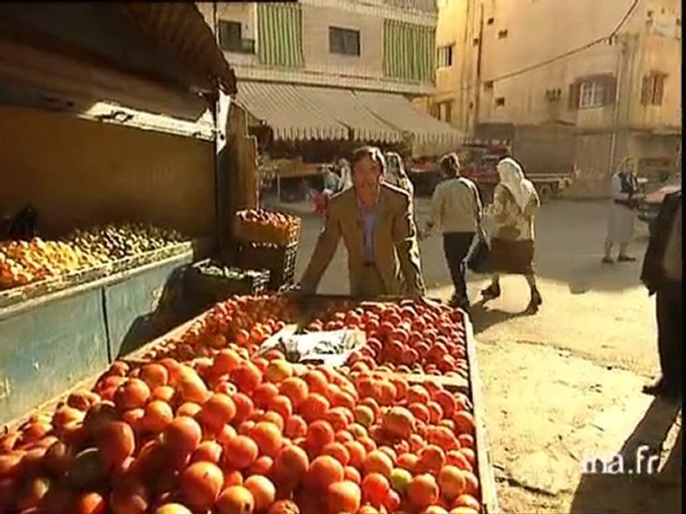 Liban : Liban l'autre rive